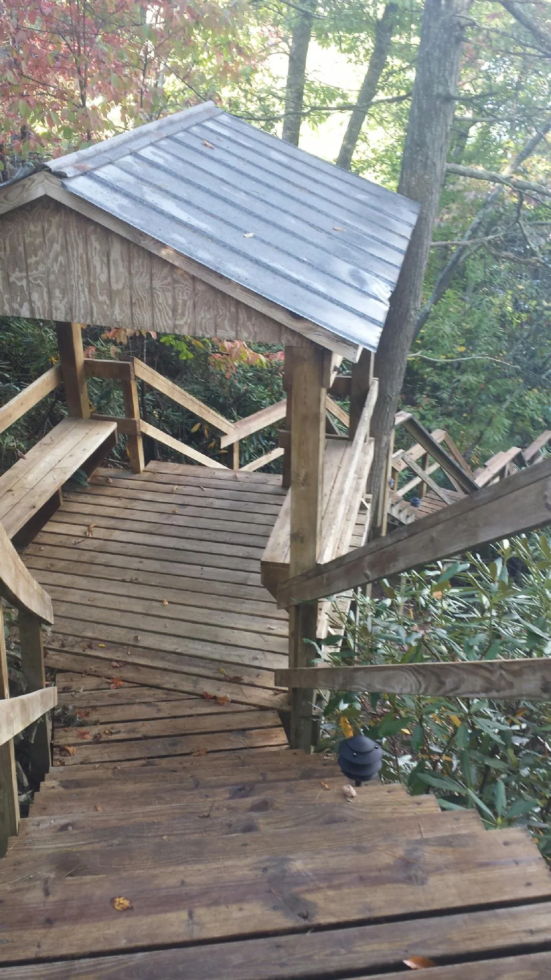 Metal roofed shelter over wooden steps on a wooded walkway — Skylight Repair & Installation work by our crew in Timberlake